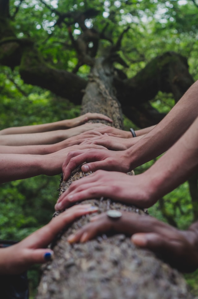 A group of people raising their hands infront of a sunrise